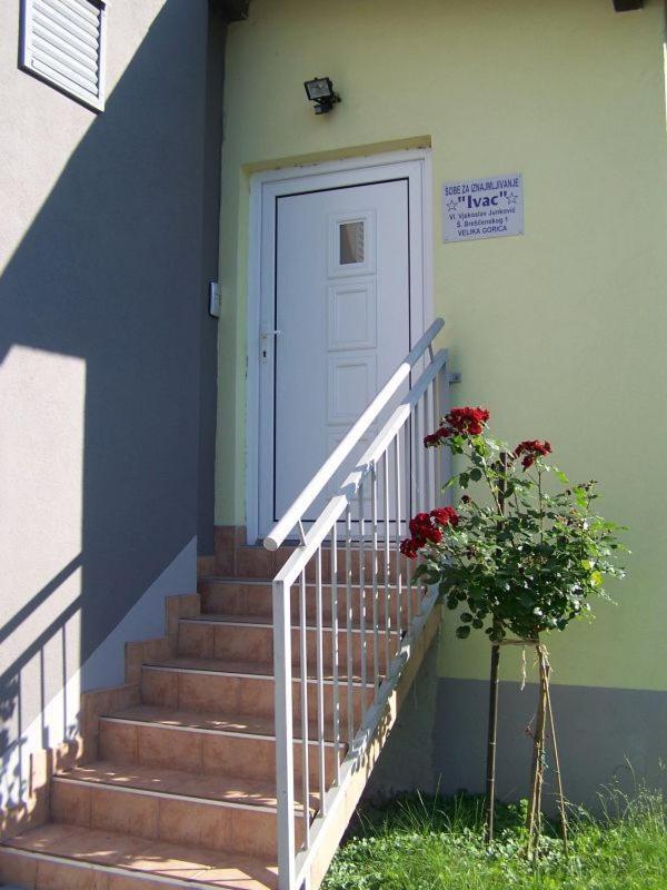 Guest House Ivac Inn Zagreb Airport Velika Gorica Bagian luar foto