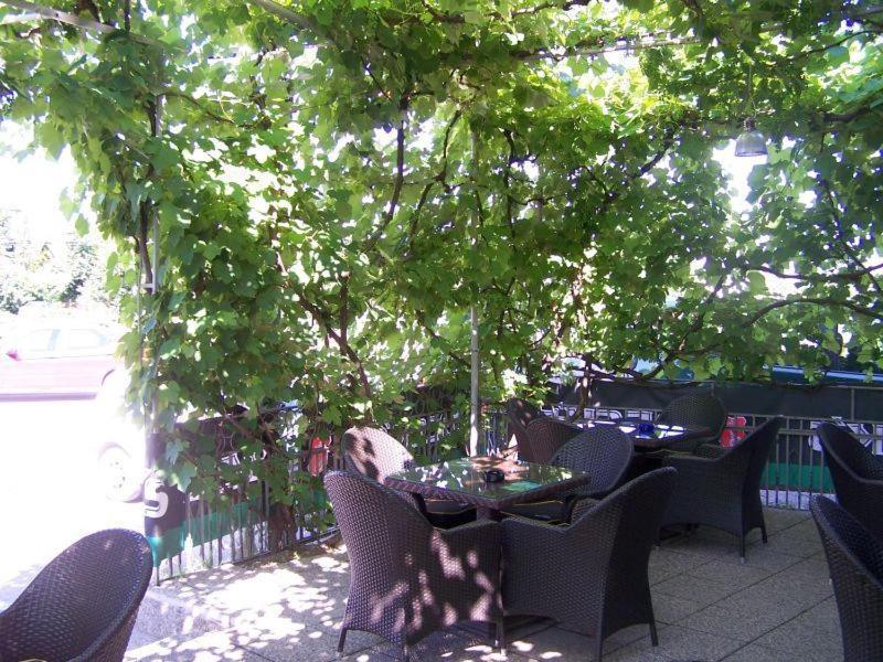 Guest House Ivac Inn Zagreb Airport Velika Gorica Bagian luar foto